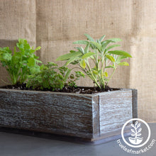 Load image into Gallery viewer, Barnwood Planter Organic Culinary Herb Garden Kit