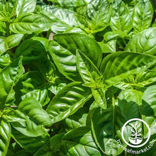 Load image into Gallery viewer, Easy &amp; Delicious Bilingual Herb Seed Collection
