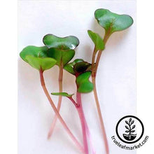 Load image into Gallery viewer, Deluxe Microgreens Starter Kit
