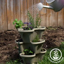 Load image into Gallery viewer, Garden Stacker Planter &amp; Tea, Medicinal Herb Kit
