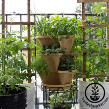 Load image into Gallery viewer, Garden Stacker Planter &amp; Tea, Medicinal Herb Kit
