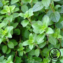 Load image into Gallery viewer, Easy &amp; Delicious Bilingual Herb Seed Collection
