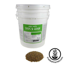 Load image into Gallery viewer, Rye - Winter (organic) - Grass Seeds
