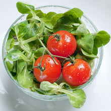 Load image into Gallery viewer, Seed Assortment - Salad
