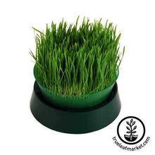 Load image into Gallery viewer, The Spartan Up! Ultra: Tray Seed Sprouter Kit
